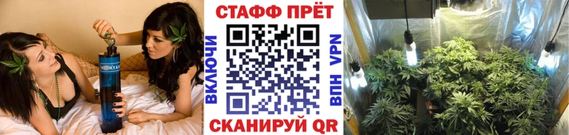 Наркошоп купить АМФ  Кокаин  Гашиш  Псилоцибиновые грибы  Меф мяу мяу  Канабис  A PVP  Заинск
