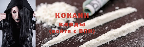 гидропоника Гусев