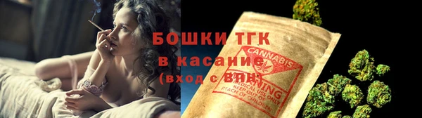 гидра Гусь-Хрустальный