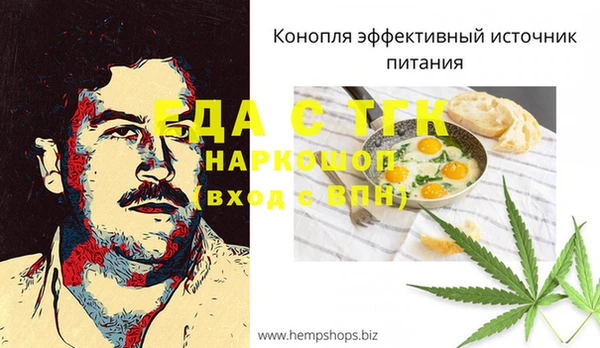 гидра Гусь-Хрустальный
