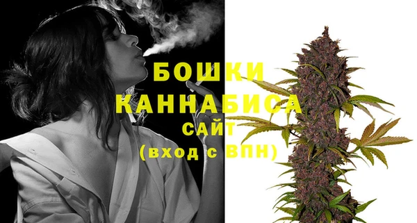 гидра Гусь-Хрустальный