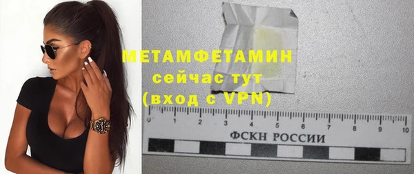 гидра Гусь-Хрустальный
